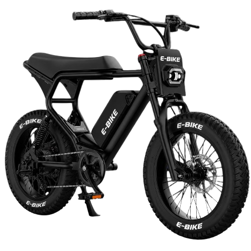 E-Bike  Fat Bike Tout-Terrain